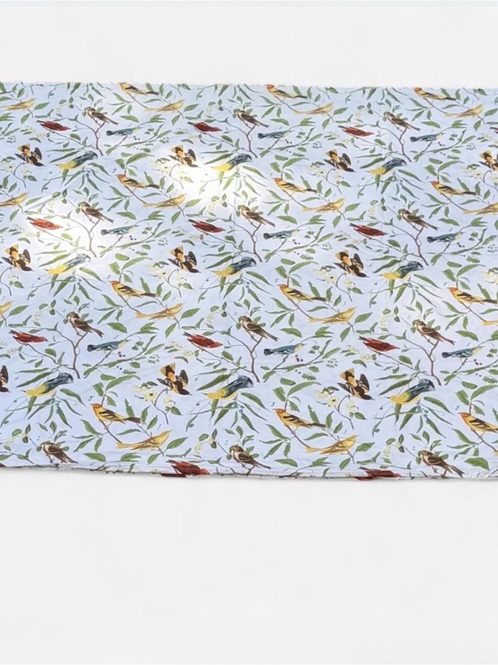 Pottery Barn Spring Sparrow Bird Botanical Cotton Duvet Cover Full Rare